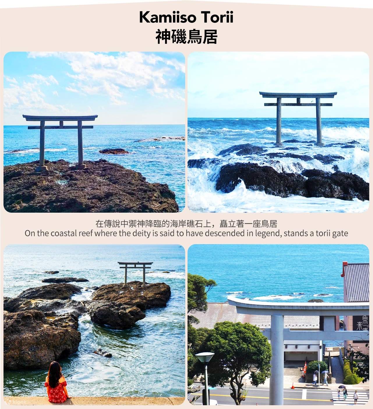 Real Estates | Hitachi Seaside Park, nestled in Ibaraki